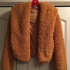 Extra Fluffy Teddy Bear Cropped Hoodie Jacket